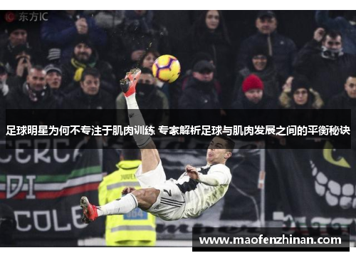 足球明星为何不专注于肌肉训练 专家解析足球与肌肉发展之间的平衡秘诀