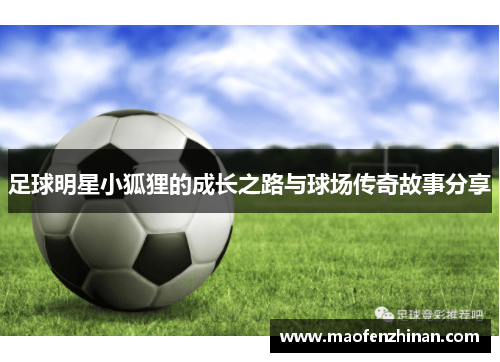 足球明星小狐狸的成长之路与球场传奇故事分享