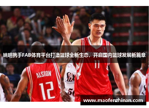姚明携手FAB体育平台打造篮球全新生态，开启国内篮球发展新篇章