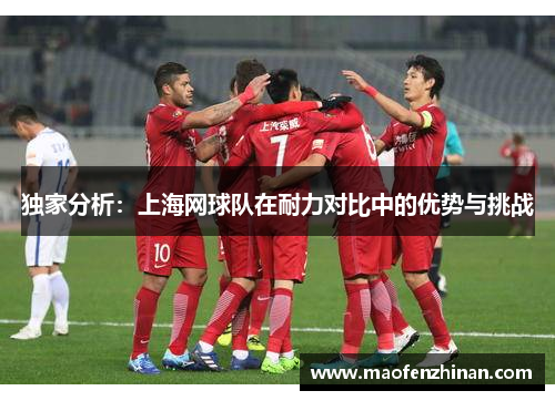 独家分析：上海网球队在耐力对比中的优势与挑战