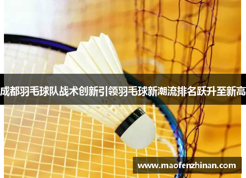 成都羽毛球队战术创新引领羽毛球新潮流排名跃升至新高
