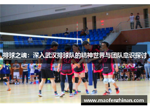 排球之魂：深入武汉排球队的精神世界与团队意识探讨