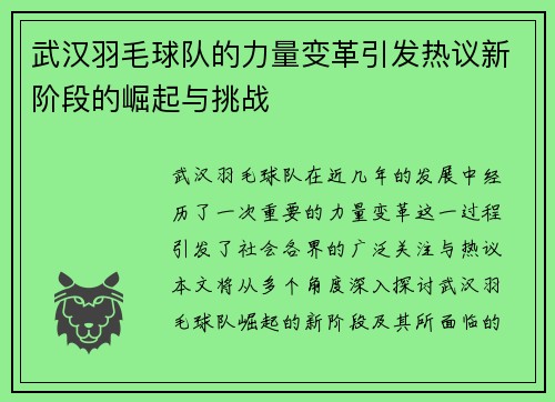 武汉羽毛球队的力量变革引发热议新阶段的崛起与挑战